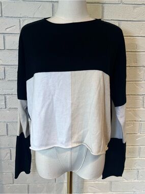 Planet by Lauren G Colorblock Cropped Lightweight Sweater Womens L